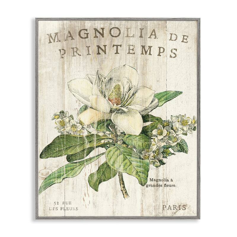 Stupell French Magnolias In Spring Framed Giclee Texture Art - Grey Framed - 11 x 14