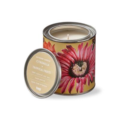 Citro Tropical Fruits Jar Candle 11oz Multicolor Wax 48hr Burn Time Summer Scented Candle 3.5in H x 3.2in Dia
