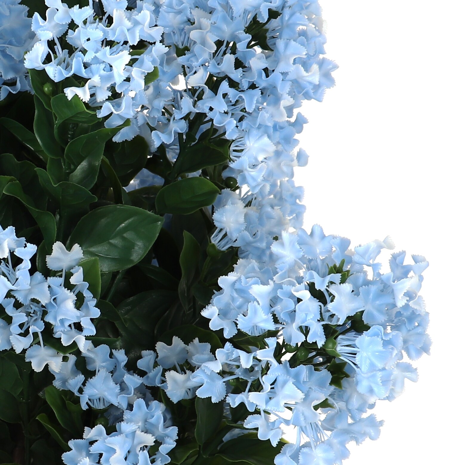 Bornbridge Colorful Potted Hydrangea - N/A - Bed Bath & Beyond