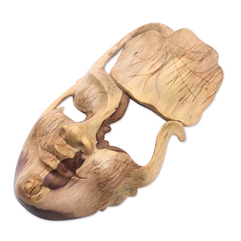 Novica Handmade One With Nature Wood Mask