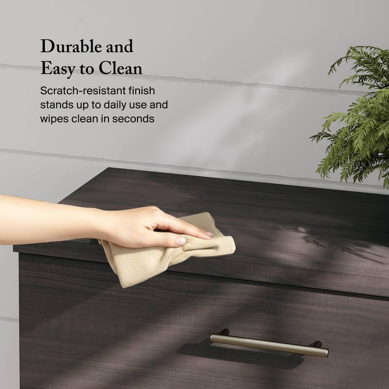 Bush Furniture Somerset 2 Drawer Lateral File Cabinet with Storage