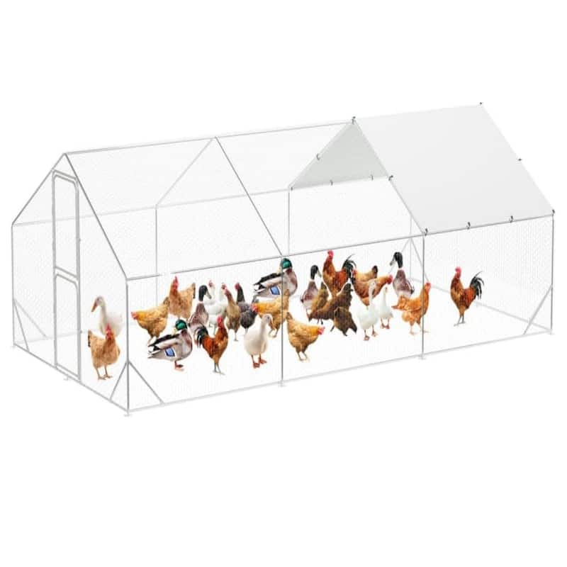 Large Metal Chicken Coop Walk-in Poultry Cage - 9.8 x 19.7 x 6.6FT