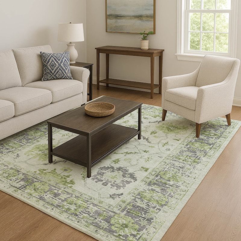 Premium Washable Super Soft Vintage Traditional Mayfield Rug