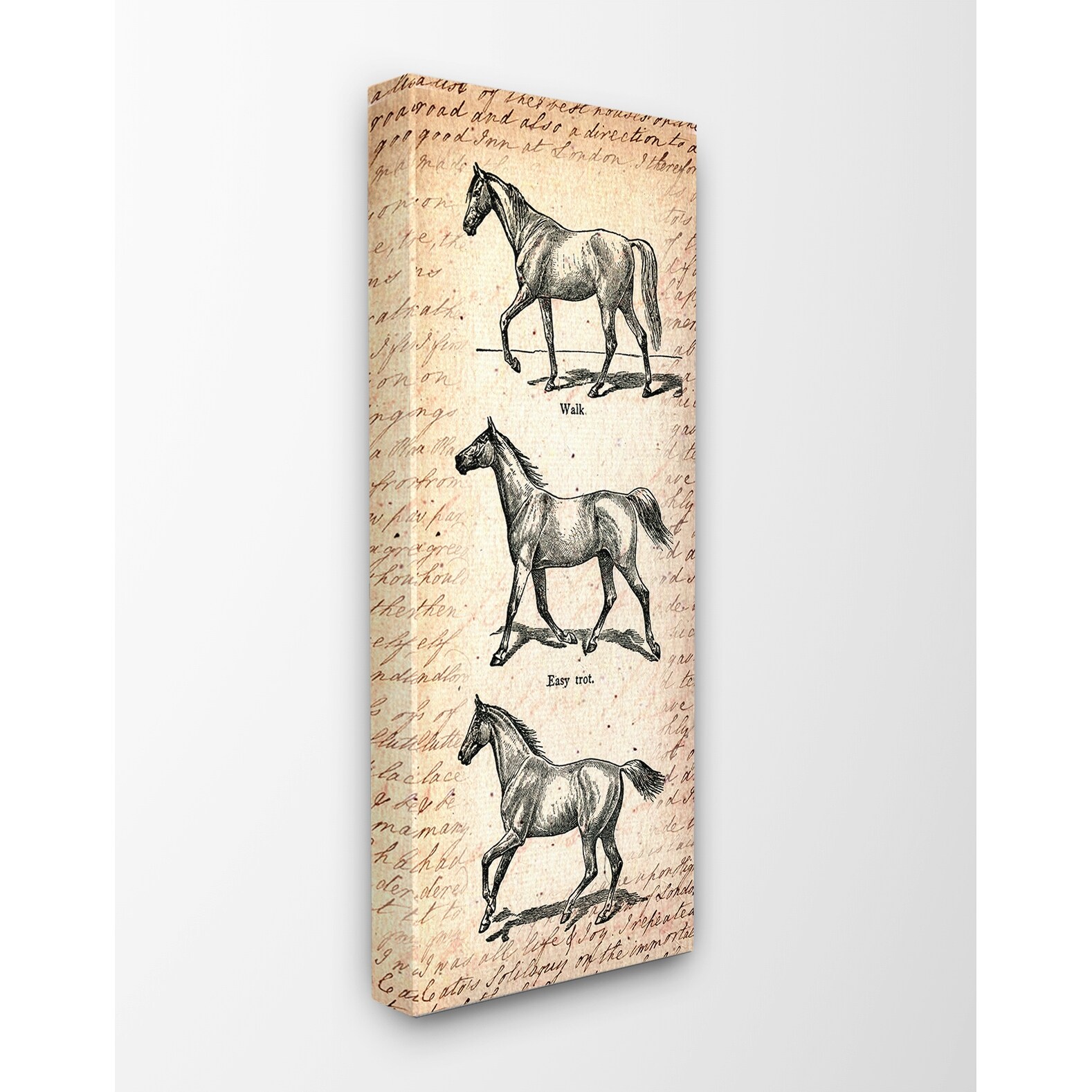 Stupell Vintage Horse Movement Diagram Stretched Canvas Wall-image