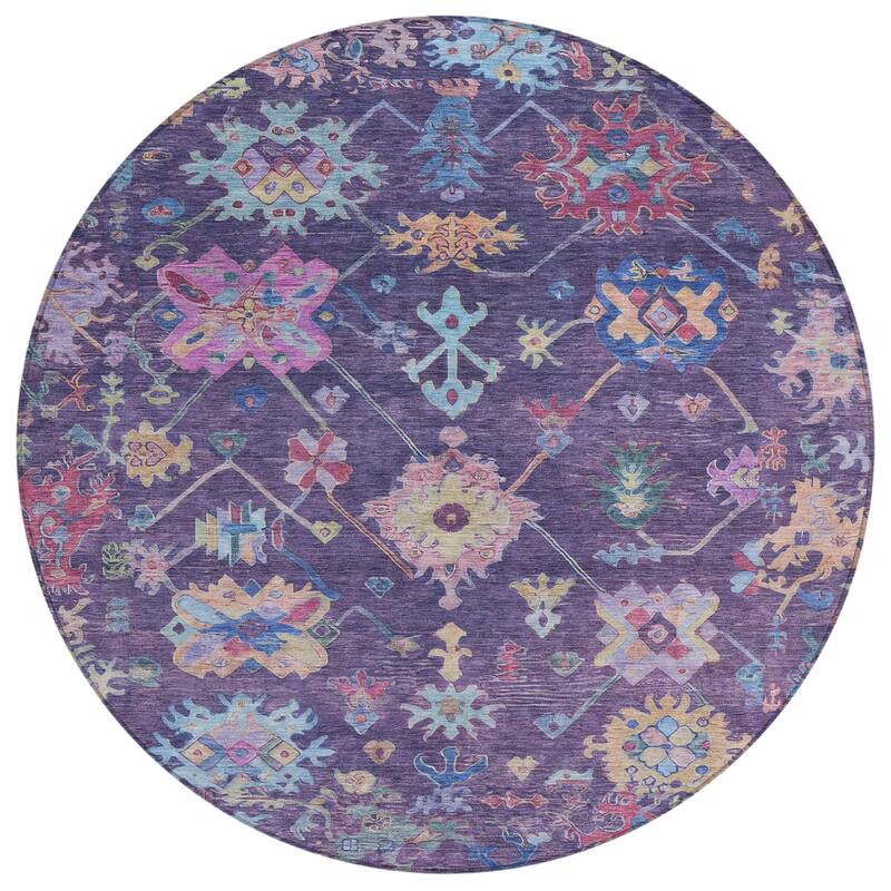 Machine Washable Indoor/ Outdoor Boho Traditional Chantille Rug