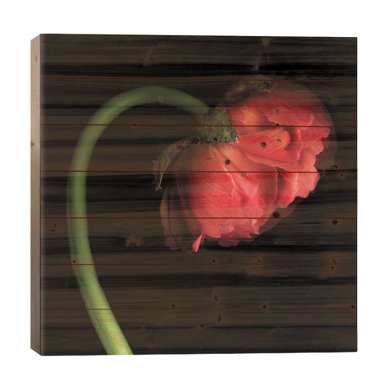 Little Red Lantern Print On Wood by Magda Indigo - Multi-Color - 26x26x1.5