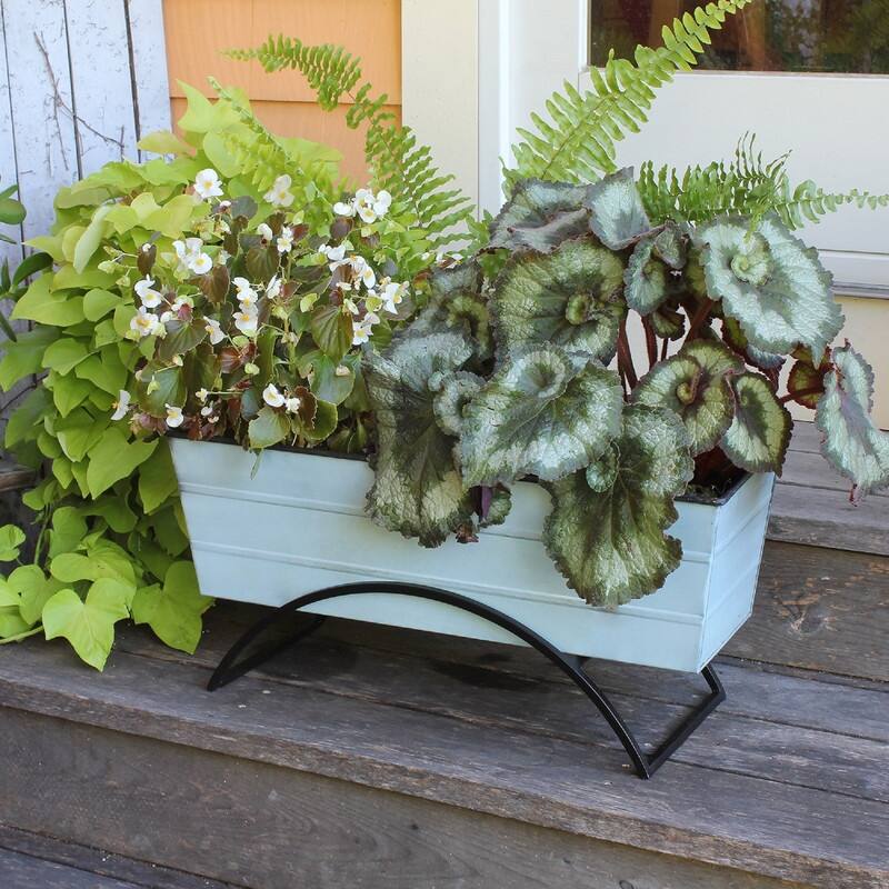 Achla Designs Odette Stand Medium Flower Box Planter, 24 Inch Wide