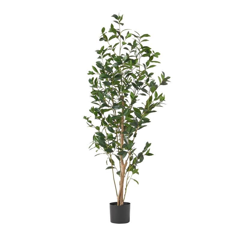 Atoka 5.5' x 2' Artificial Laurel Tree by Christopher Knight Home