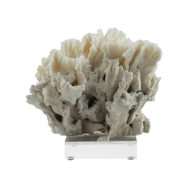 Cactus Coral 10-12 Inch On Acrylic Base