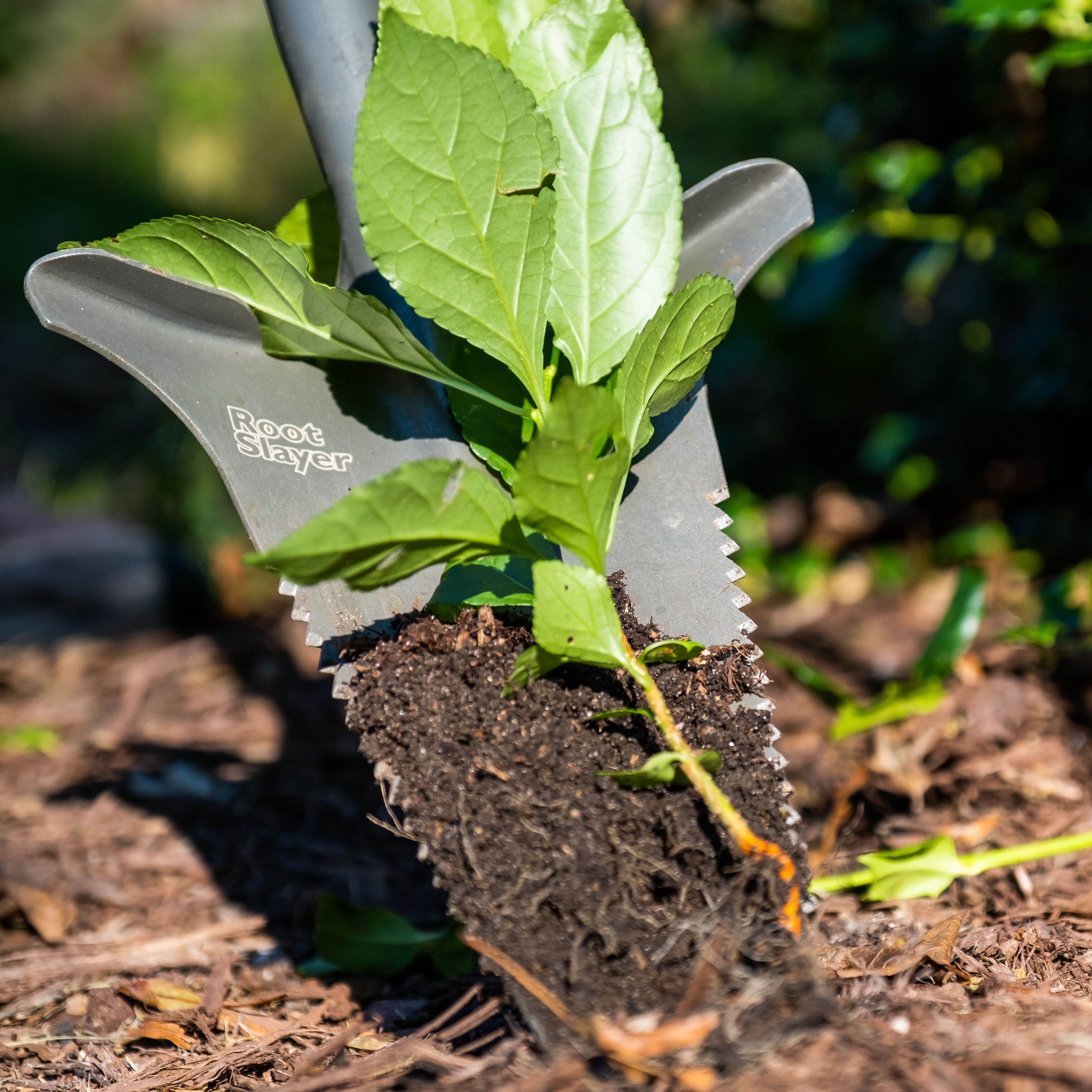 Root slayer outlet perennial shovel