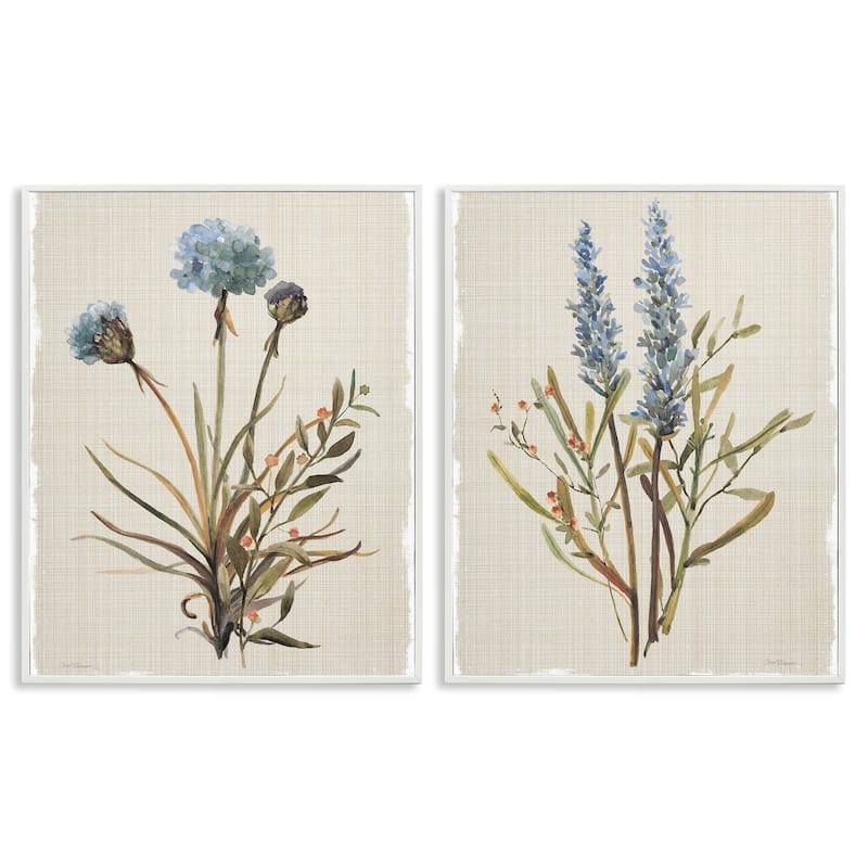 Stupell Natural Budding Blooms Framed Giclee Art Design By Carol Robinson (Set of 2) - 24 x 30 - White