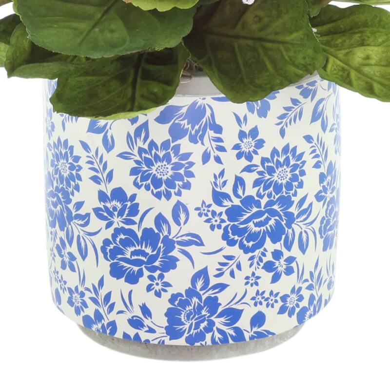 Kalanchoes in Decorative Ceramic Pot