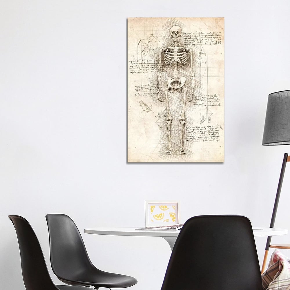 iCanvas "Human Skeleton" by Cornel Vlad Canvas Print
