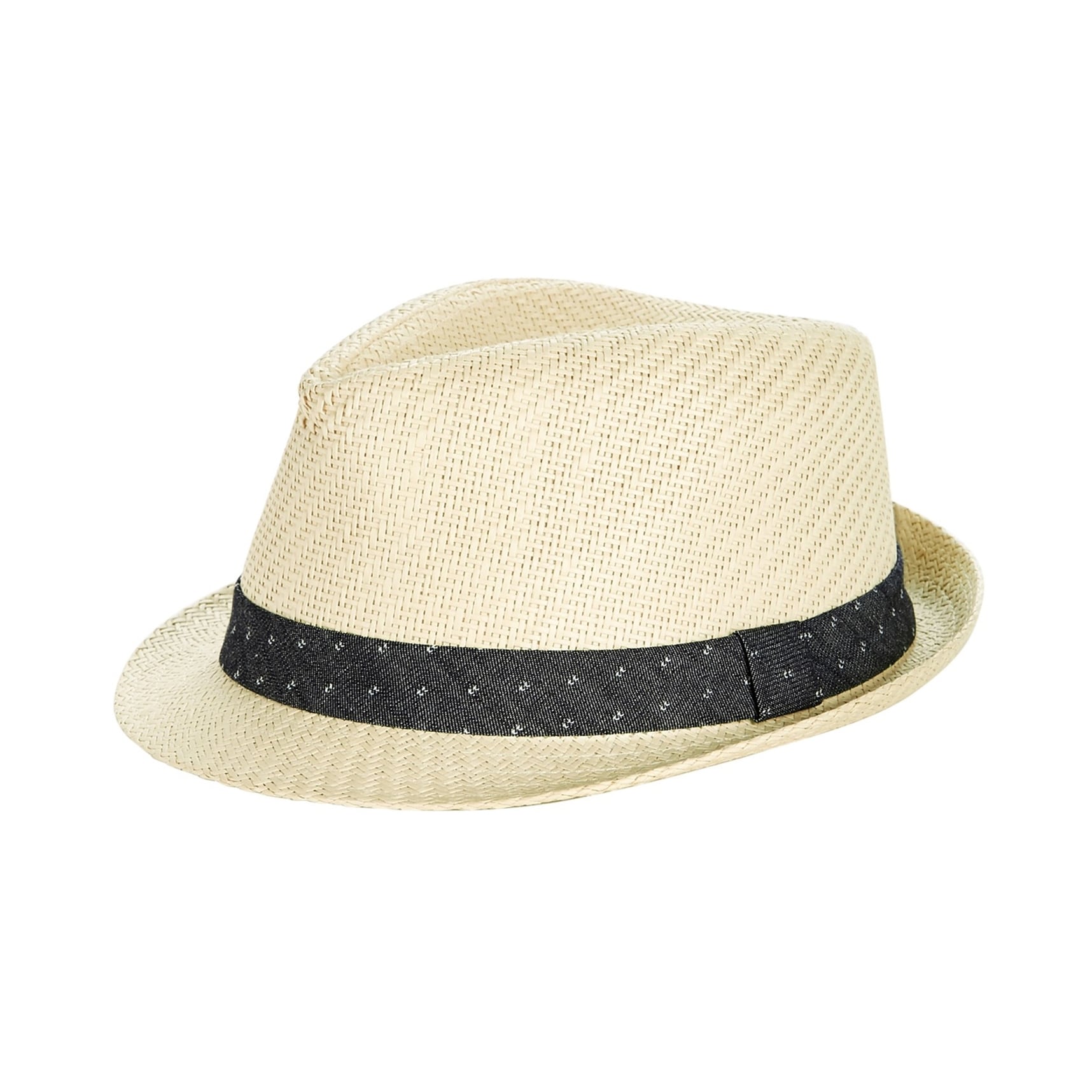 levis fedora hat