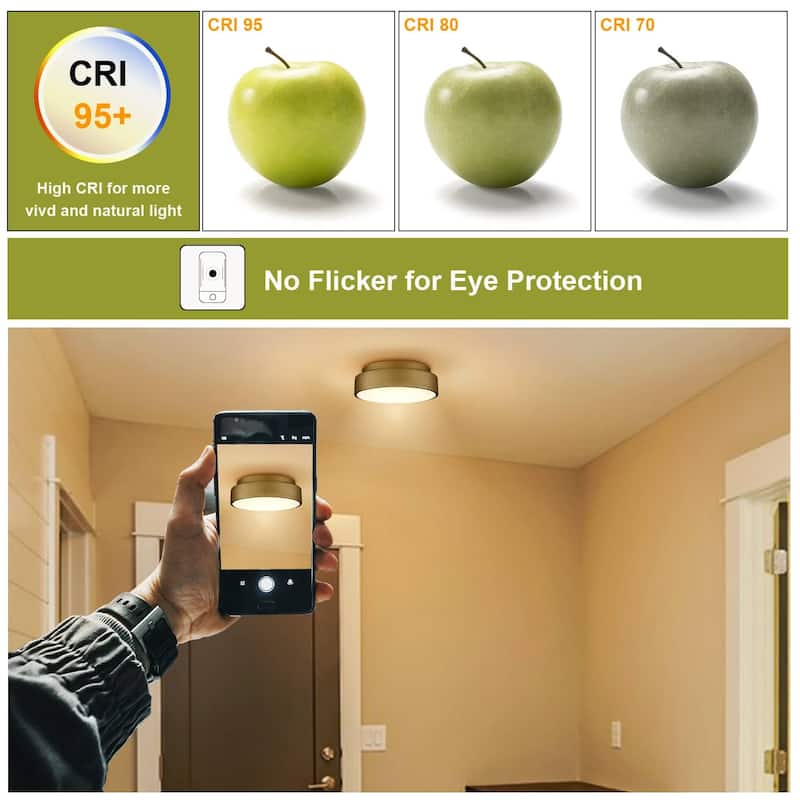 Bonucci Dimmable 12 Inch LED Flush Mount Ceiling Light