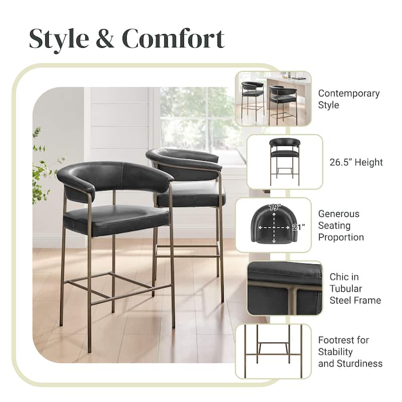 NPD Furniture Kaiden Faux Leather Counter Stool (Set of 2)