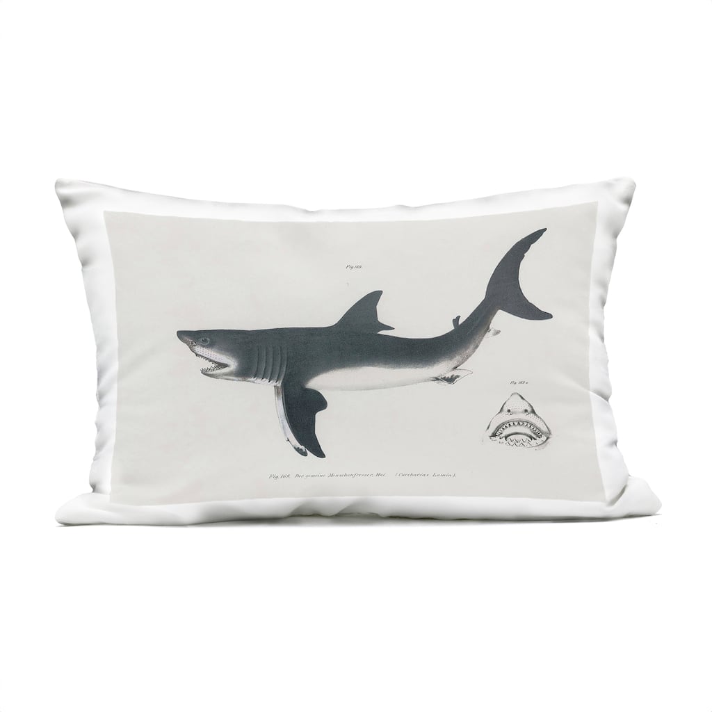 Stupell Detailed Shark Diagram Printed Outdoor Throw Pillow Design by Phillipa Katz