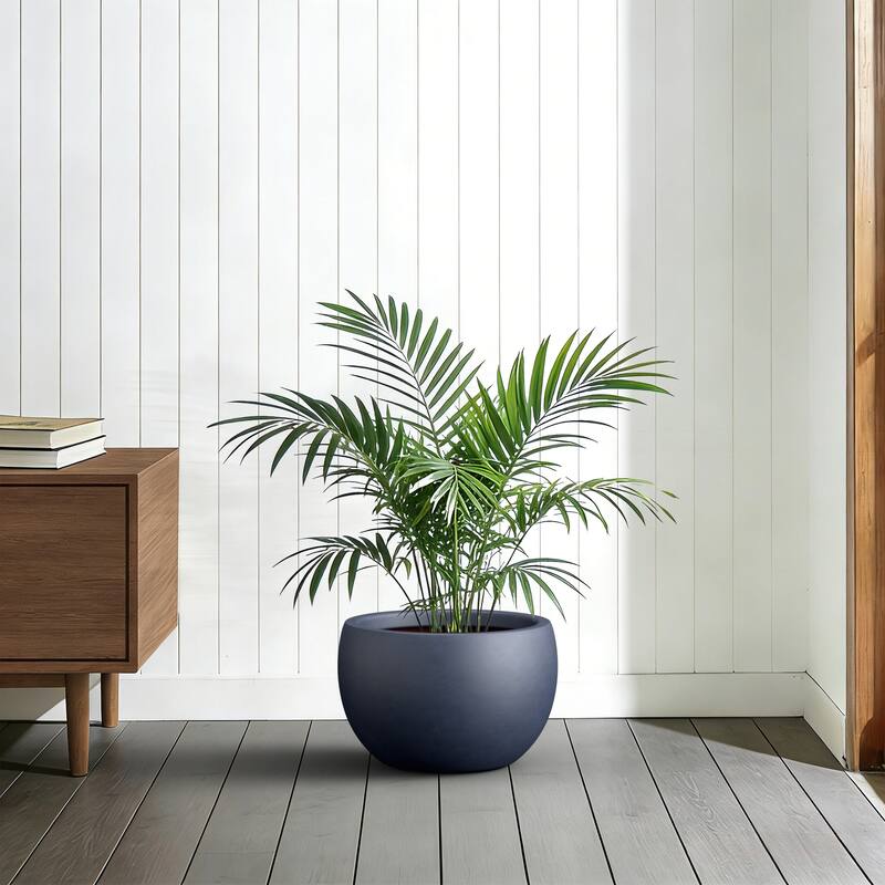 Concrete Round Bowl Planter with Drainage Hole(Upgraded Interior)