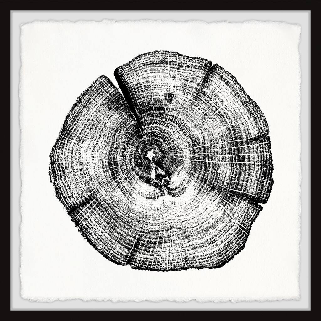 Oak Arkwork Burned Oak Framed Wall Art, Elegant Home Touch - Sophisticated Artwork ...