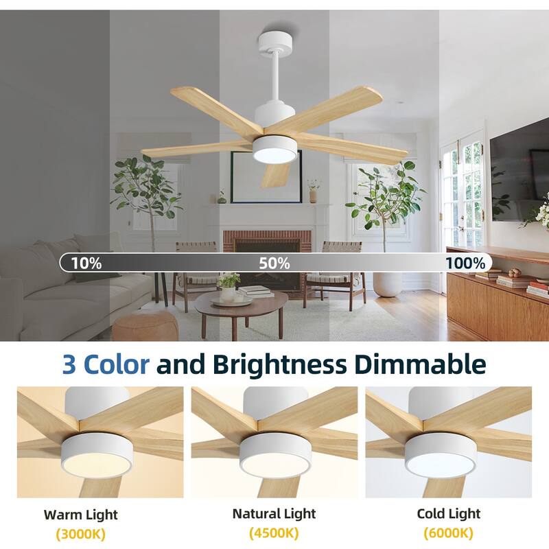 WINGBO 54" and 64" 5 ABS Blades DC Motor Indoor Ceiling Fan with Light & Remote