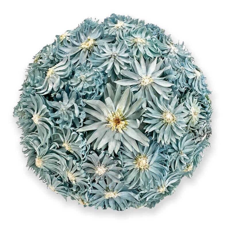 Handmade Preserved Topiary Balls – Set of 9 Decorative Floral Orbs - 4 inch