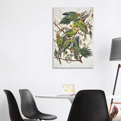 iCanvas "Carolina Parrot & Cuckle Burr" by John James Audubon Canvas Print