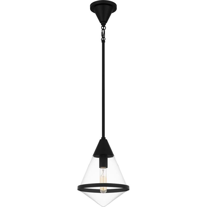 Hidalgo 1-Light Matte Black Mini Pendant Light