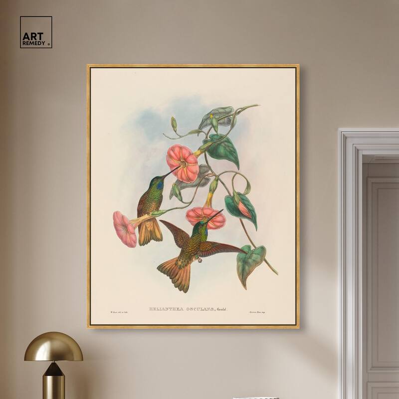 Gould's Hummingbirds Canvas by Art Remedy