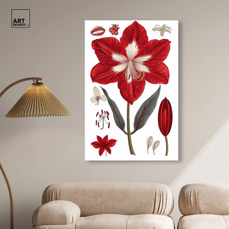 Amaryllis Anatomy Canvas by Art Remedy, Gallery Wrapped