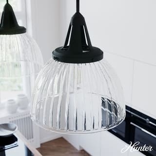 Hunter Cypress Grove 16" 1-Light Pendant - Island, Dining Room, Entry - Industrial, Contemporary, Transitional