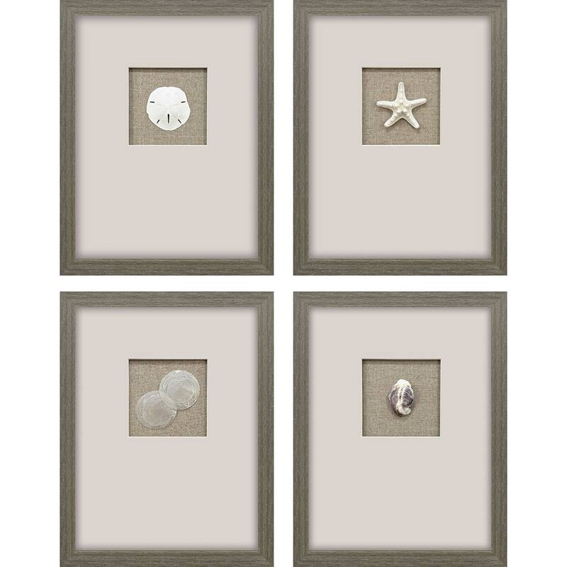 Paragon Natural Elements Framed Art - Set of 4