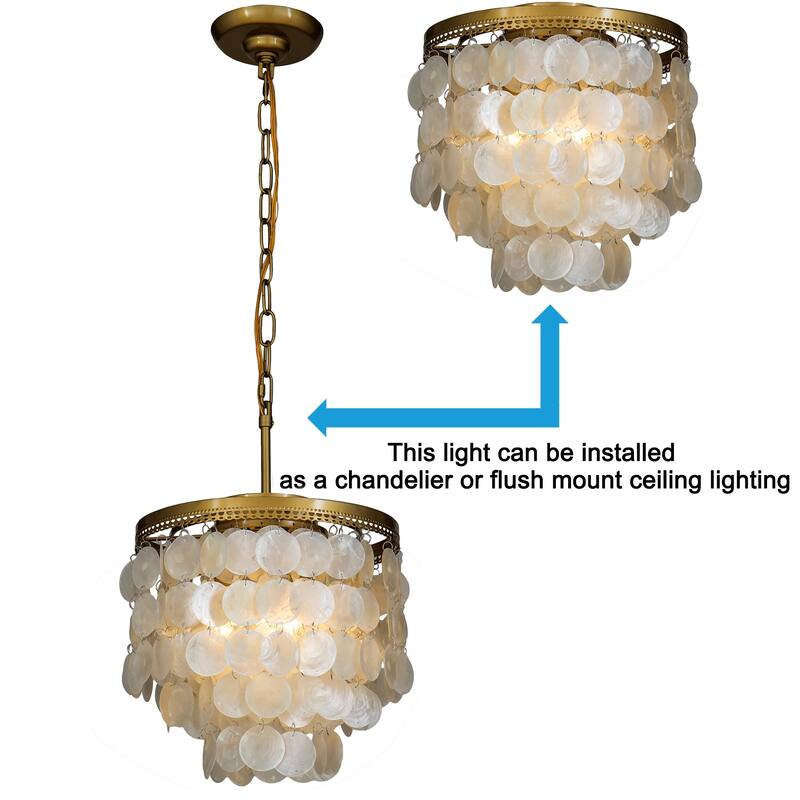 DancyHome Mese - 3 Light Coastal Capiz Shell Chandelier