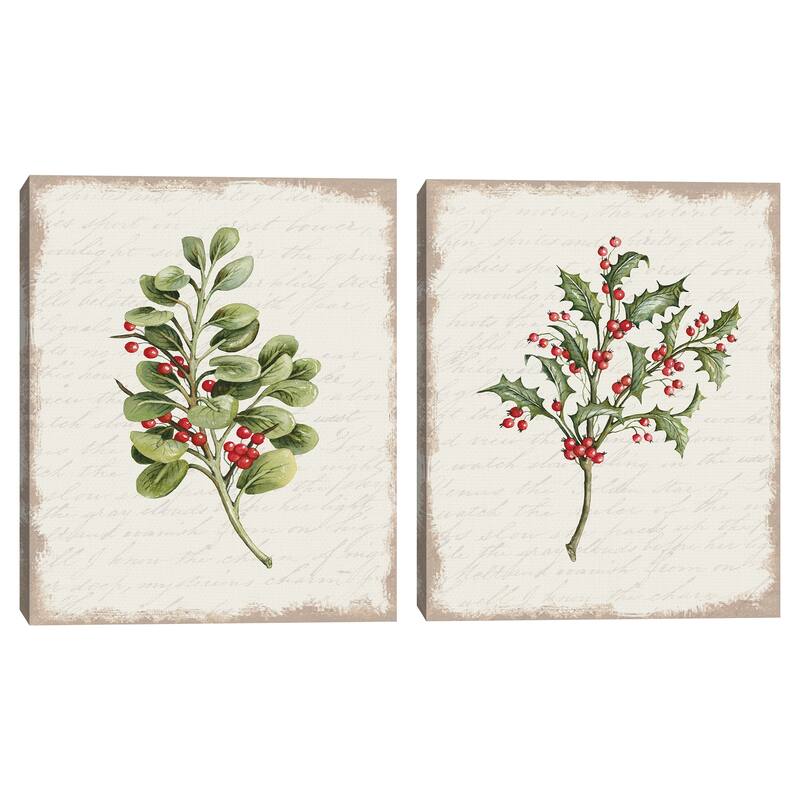 Berries Christmas Botanical & Holly Christmas Botanical by Cindy Jacobs Canvas Art Prints