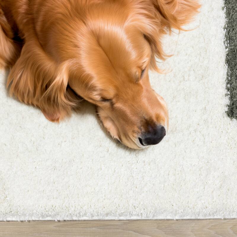 Taylor Collection - Cream Sage Lines Soft Indoor Shag Area Rug