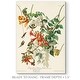 preview thumbnail 2 of 8, Pl 47 Ruby-throated Hummingbird -Premium Gallery Wrapped Canvas