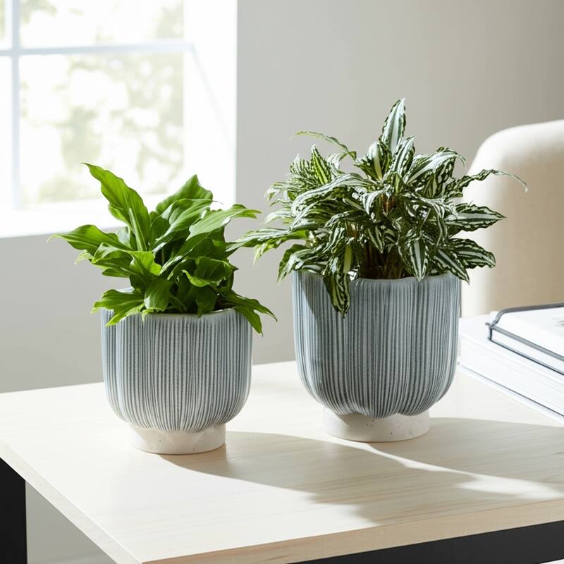 Stoneware Scallop Shaped Planters Decorative Containers (Set of 2) - 5.91" x 5.91" x 5.79"