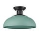 preview thumbnail 1 of 2, Levitt 13.625" Wide 1-Light Natural Black Outdoor Semi-flush Natural Teal Shade