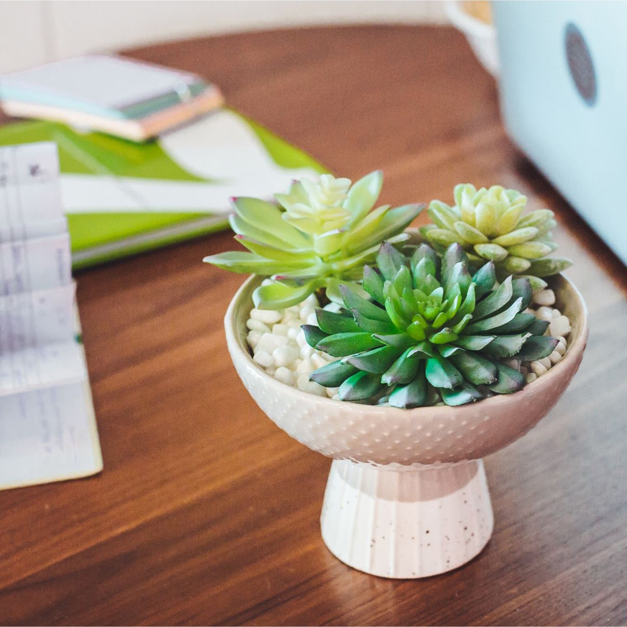 Artificial Plant Succulent Mix in Two Tone Bowl Ceramic Planter - ONE-SIZE  - Bed Bath & Beyond - 31629672