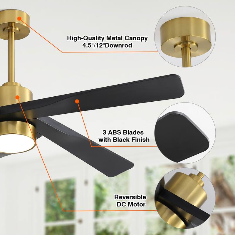 WINGBO 54" and 64" 5 ABS Blades DC Motor Indoor Ceiling Fan with Light & Remote