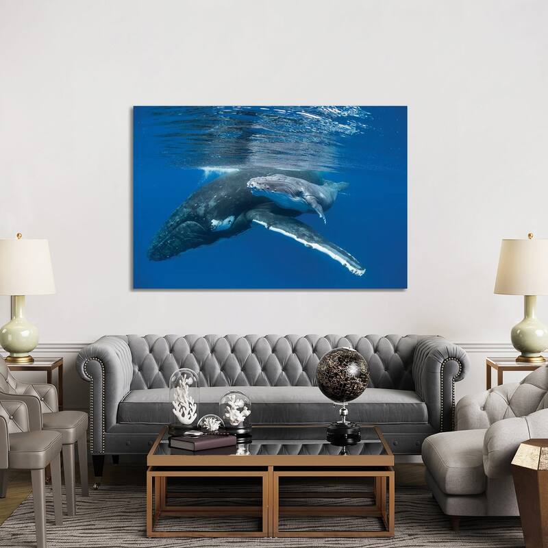 iCanvas "Humpback Whale Mother With Four Day Old Calf, Tonga" by Suzi Eszterhas Canvas Print