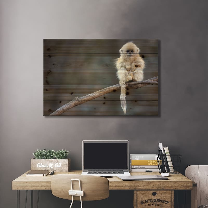 Golden Snub-Nosed Monkey Juvenile, Qinling Mountains, China Print On Wood by Cyril Ruoso - Multi-Color
