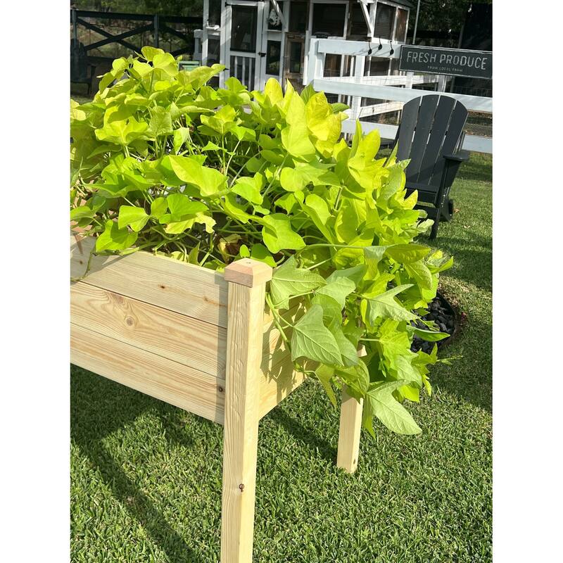 Zylina Raised Garden Planter - 48 x 24 x 28