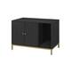 Option Black-Gold