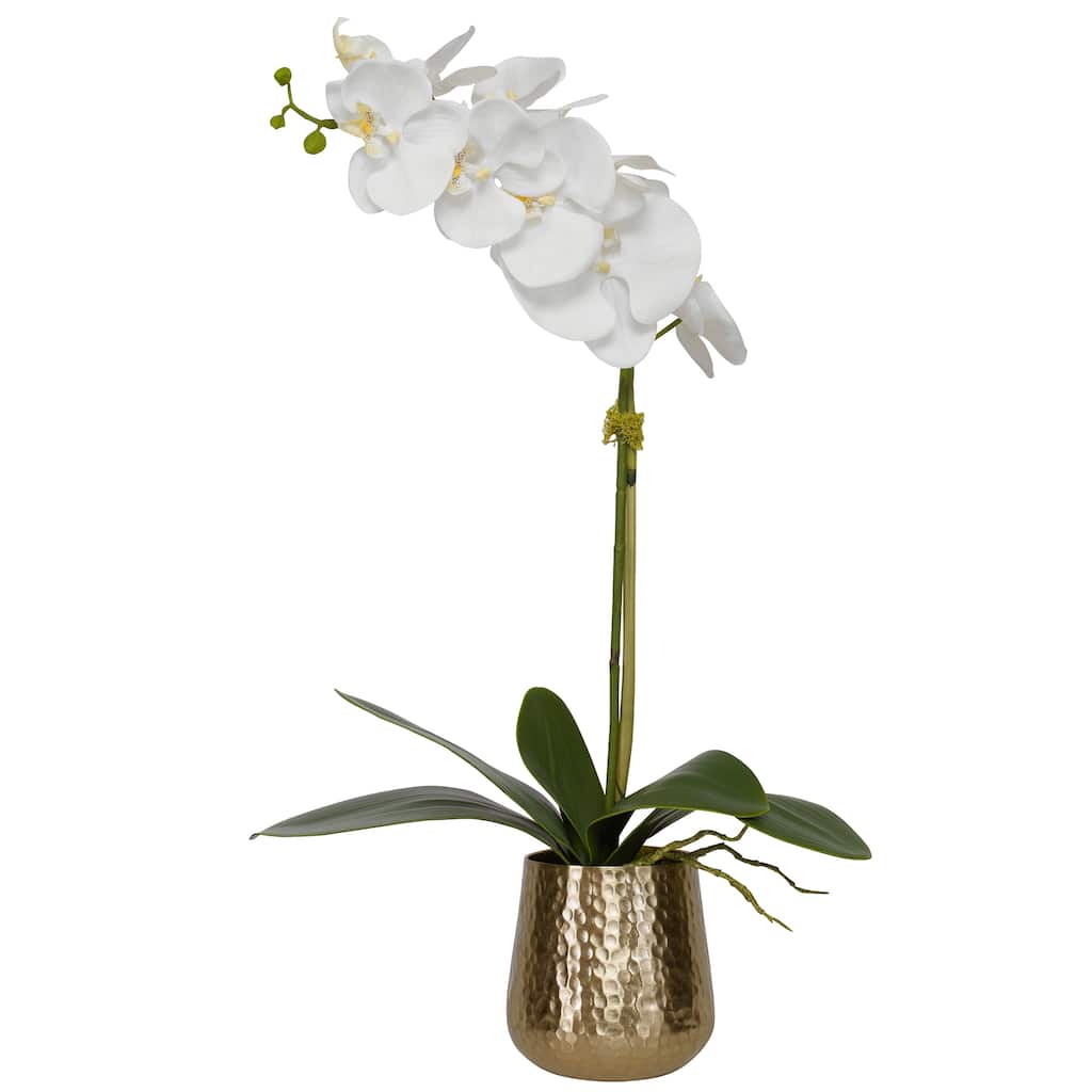 Uttermost Cami Orchid With Brass Pot - 24 x 14 x 8