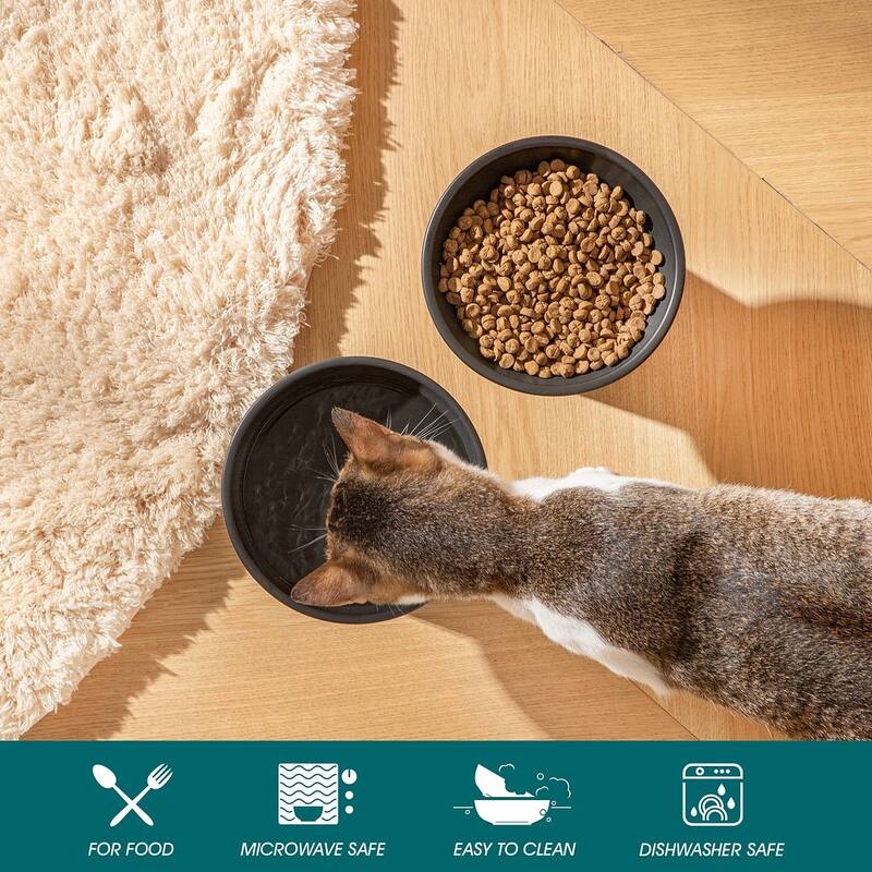 vancasso Elevated Stoneware 2-Piece Raised Dog & Cat Bowl Set