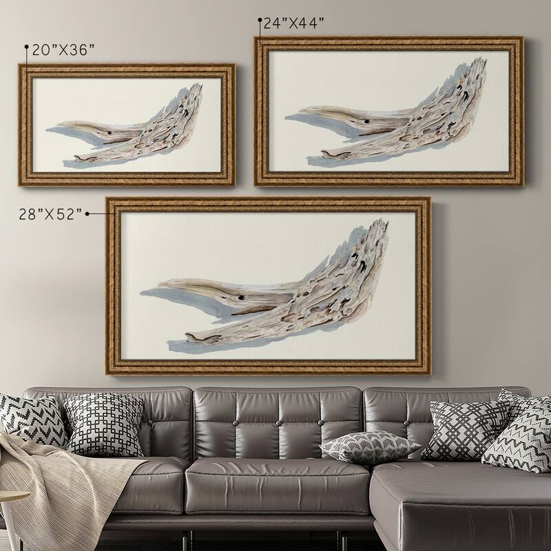 Driftwood Study III Premium Framed Canvas- Ready to Hang