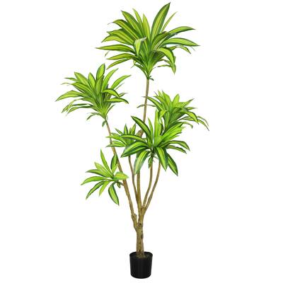 6.5ft Real Touch Artificial Dracaena Tree Plant in Black Pot - 78" H x 48" W x 44" DP