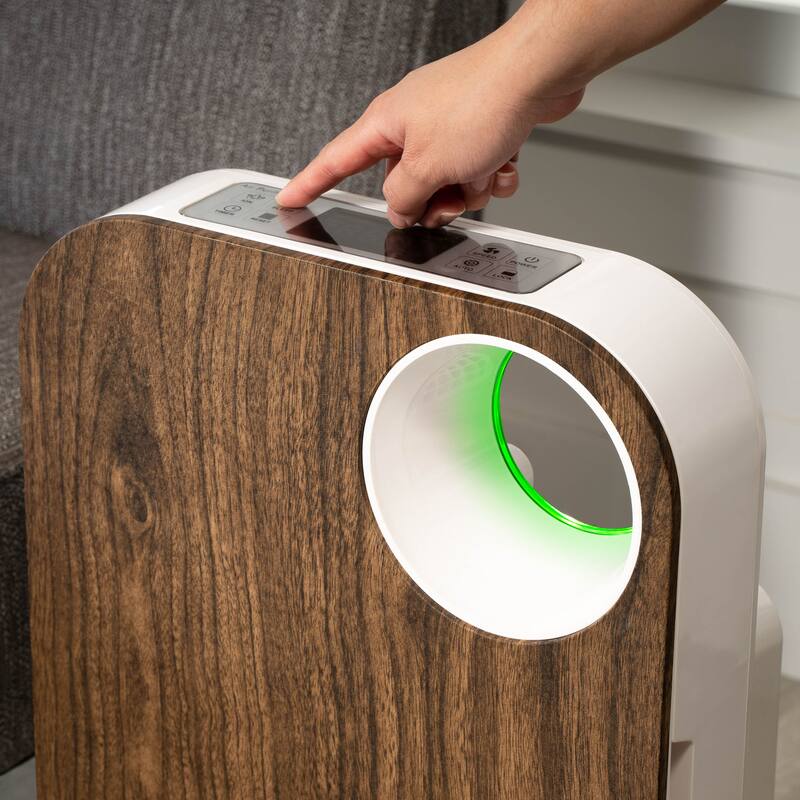 OVAL AIR 3-Stage H13 True HEPA 5-in-1 Air Purifier for Rooms up to 600 sq. ft. reduces Allergies, Asthma, Pets, Odor, Smoke