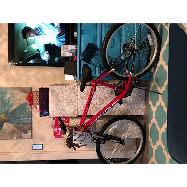 mantis bike manufacturer