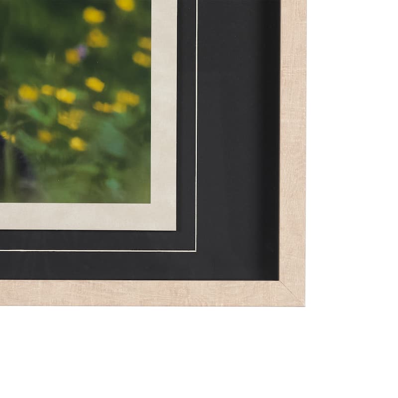 Bear Framed Art Print
